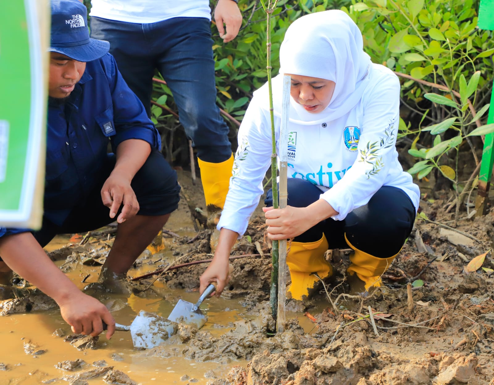 Gubernur Khofifah saat Festival Mangrove ke-4 di Kabupaten Trenggalek, Sabtu (27/5/2023). Foto: Pemprov Jatim.