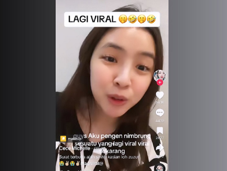 Netizen yang berpendapat soal artis live TikTok berjualan sembako.