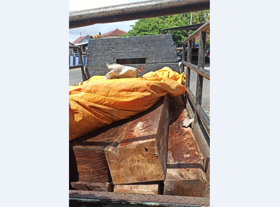 Mobil saat diamankan karena kayu-kayu yang diangkutnya tersebut tidak dilengkapi dokumen yang sah. SP/LIM