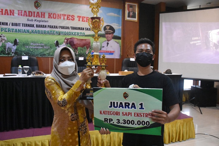 Bupati Mojokerto Ikfina Fahmawati menyerahkan trophy dan hadiah kepada para pemenang kontes peternak sub kegiatan pengawasan mutu benih/bibit ternak, bahan pakan/pakan/tanaman skala kecil. SP/Dwy AS