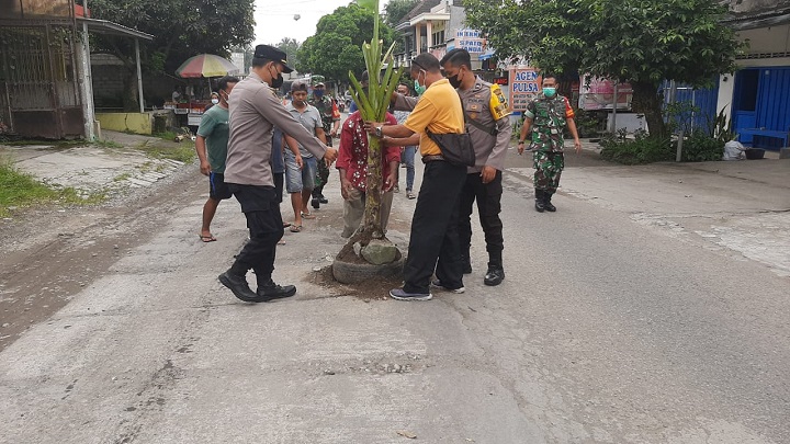 Petugas mencabuti pohon pisang yang ditanam di jalan berlubang. SP/Hadi Lestariono