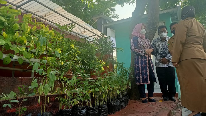 Wali kota Mojokerto Ning Ita saat meninjau kebun rosela SMPN 7 Kota Mojokerto. SP/Dwi AS