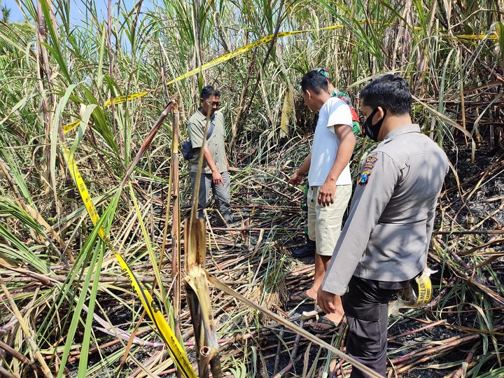Petugas saat melakukan olah TKP di lokasi kejadian. SP/Hadi Lestariono
