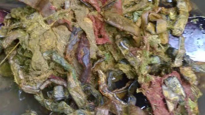 Ditemukan berbagai benda di dalam perut hewan yang mati di Desa Sidomulyo, Kecamatan Pagerwojo, Kabupaten Tulungagung