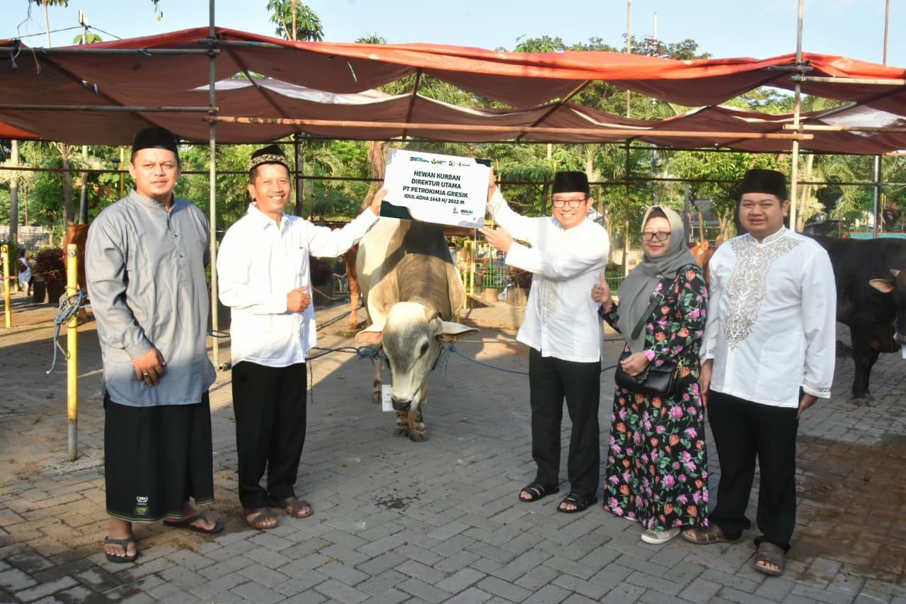Penyerahan hewan kurban dari Direktur Utama Petrokimia Gresik berupa seekor sapi kepada pengurus Masjid Nurul Jannah. SP/PG