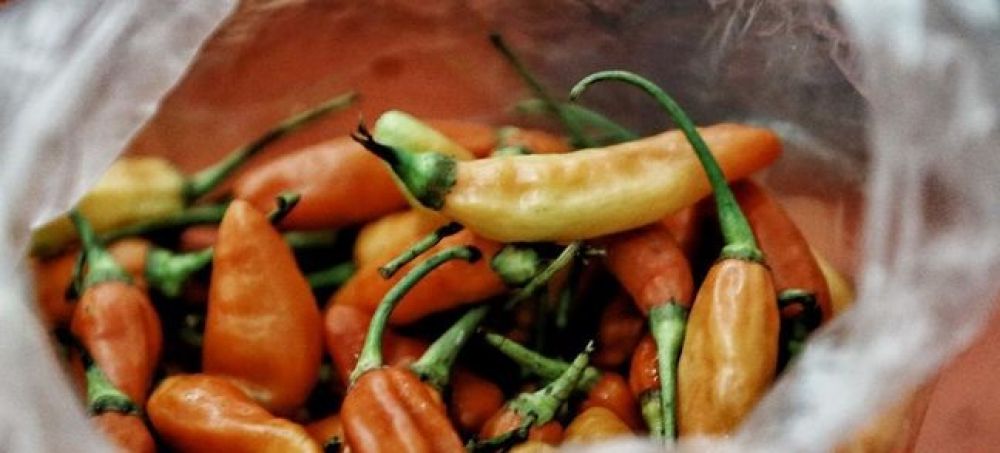 Harga cabe rawit merah naik dalam sepekan. SP/ CNN