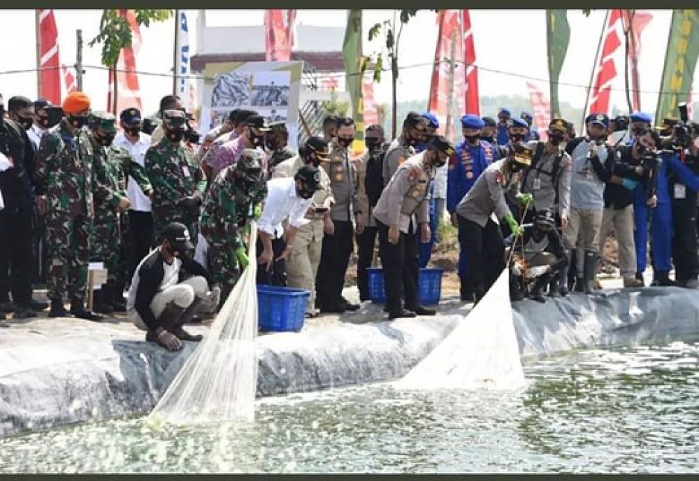 Kapolres Blitar AKBP Ahmad Fanani Eko Prasetyo S.IK bersama Forkopimda Kab Blitar melakukan panen ikan jenis nila Kekar di kolam ikan. SP/les