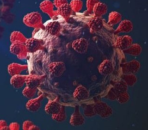 Covid-19. Foto: Dairikab