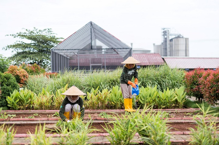 Para petani yang berasal dari masyarakat desa sekitar PT Semen Gresik Pabrik Rembang, Jawa Tengah, sedang melakukan pembibitan tanaman di kawasan Edupark yang berlokasi di Desa Kajar, Kecamatan Gunem, Kabupaten Rembang, Jawa Tengah. SP/SIG