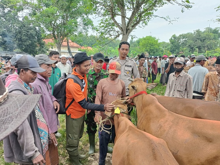 Petugas Dinas peternakan saat melakukan sosialisasi di pasar hewan
