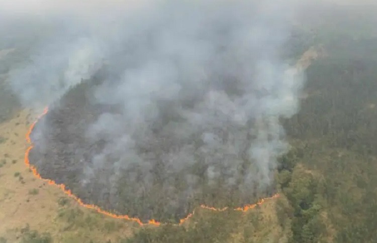 Kondisi kebakaran hutan di Gunung Arjuno terpantau lewat helikopter BNPB waktu pemadaman melalui water bombing. SP/ Humas Pemprov Jatim