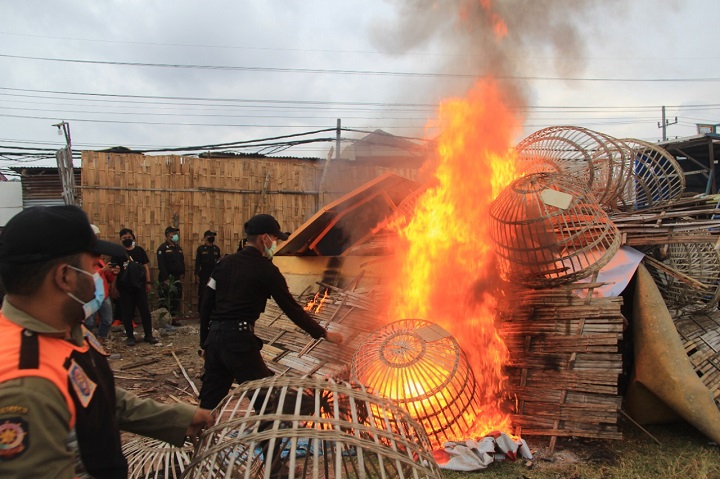 Pemusnahan pagupon di lahan kosong di jalan Karang Asem Surabaya, Senin (1/11/2021) sore. SP/Her