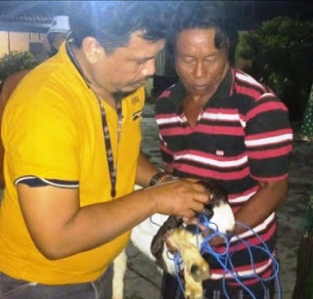 Polisi amankan pelaku pencuri kambing. SP/Lim