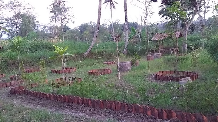 Lokasi Konsep dasar penggarapan Rest Area Taman Duribang milik Faisal diareal pesawahan Desa Rombiya Barat Kec. Ganding  Kab. Sumenep. SP/Ainur Rahman