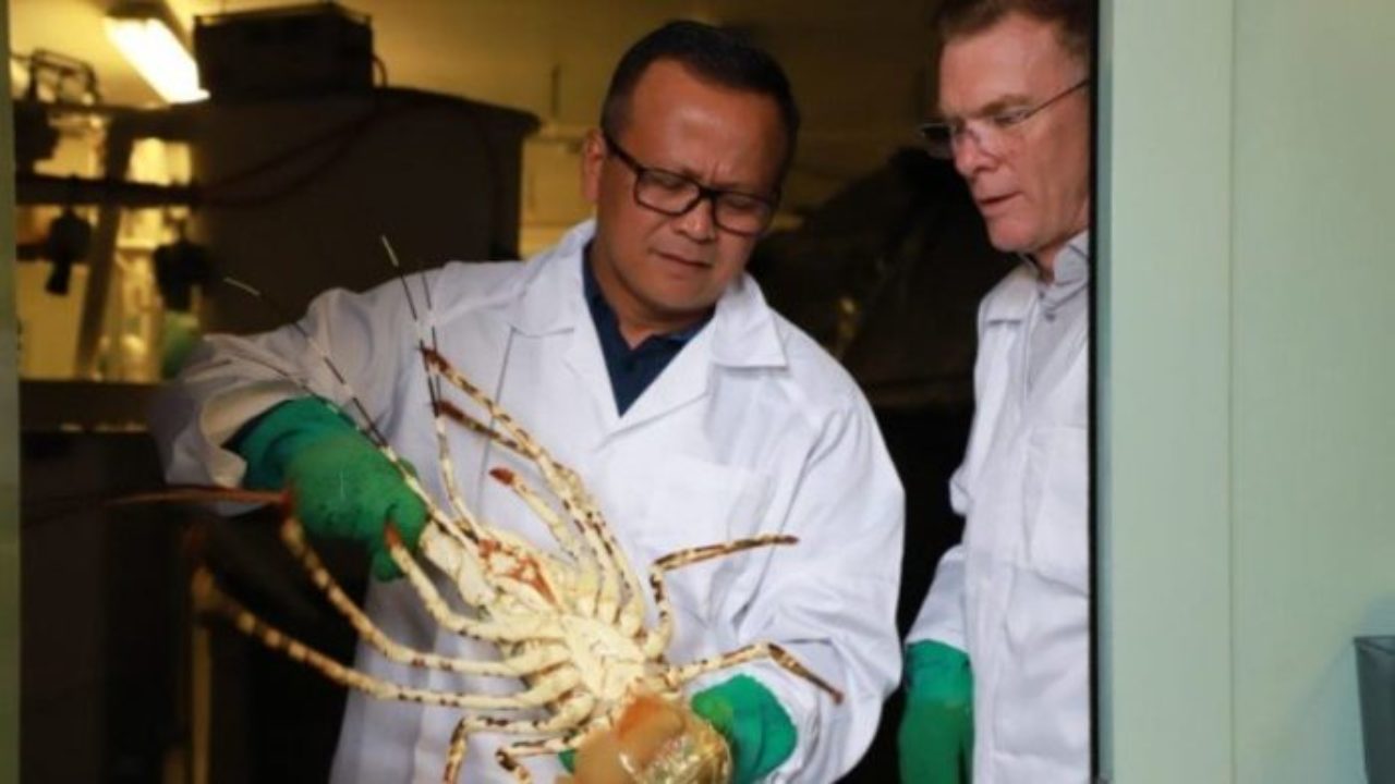 Menteri Kelautan dan Perikanan Edhy Prabowo. SP/ OZ