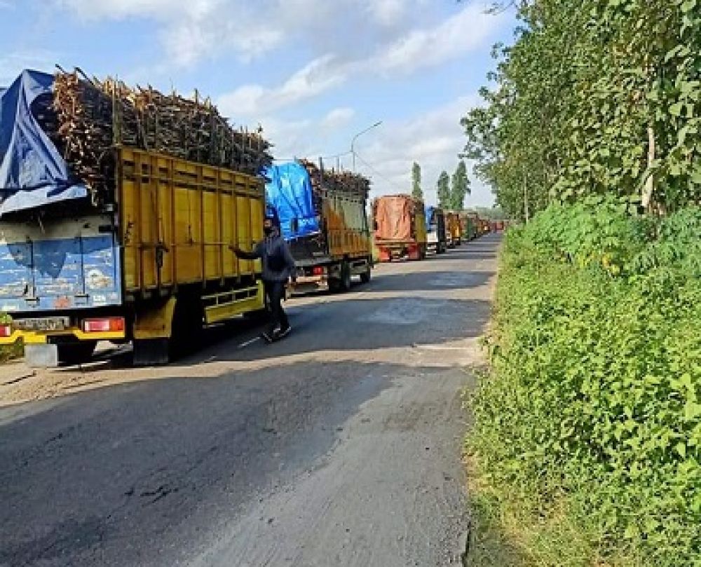 Truk pengangkut tebu yang diparkir di sepanjang jalan menunggu masuk area Pabrik Gula RMI. SP/les