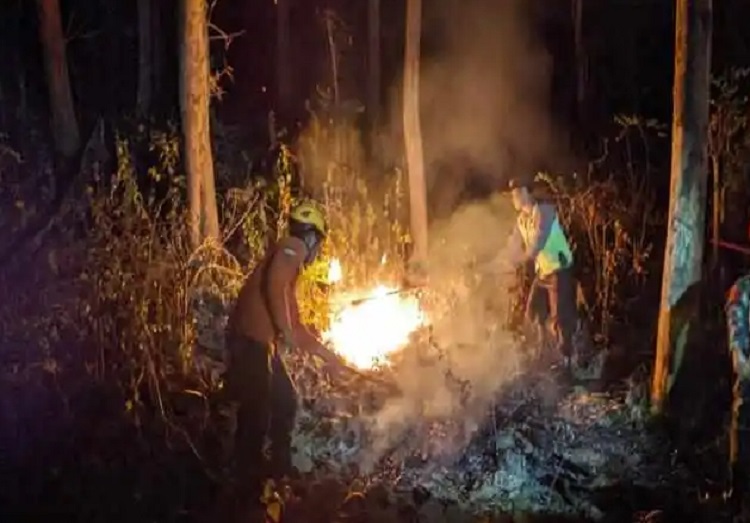 Petugas gabungan memadamkan kebakaran hutan di Kabupaten Ponorogo, Rabu (02/08/2023) malam. SP/ PNG