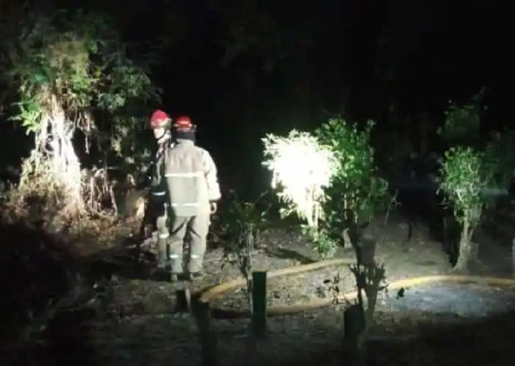 Petugas Damkarmat Bojonegoro saat melakukan operasi pemadaman kebakaran lahan dan pohon di area pemakaman Desa Ngulanan Kecamatan Dander. SP/ BJN