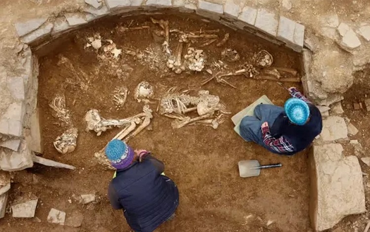 Para arkeolog temukan sebanyak 14 kerangka di dalam makam era neolitikum di Skotlandia.  SP/ National Museums Scotland