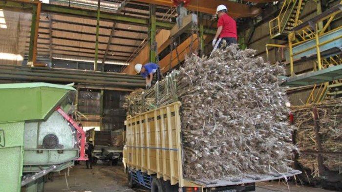Kegiatan giling tebu di pabrik gula di bawah PTPN X.