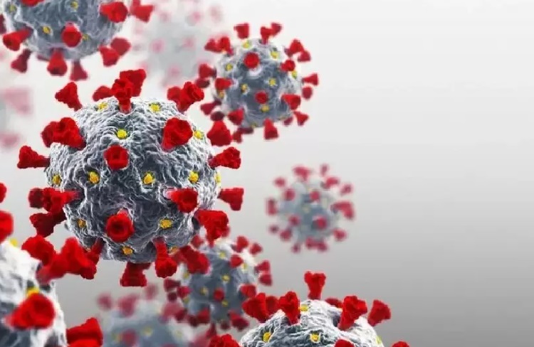 Ilustrasi kasus Covid-19 di Indonesia yang didominasi Subvarian EG.5. SP/ JKT