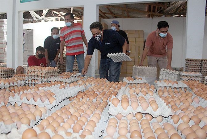 Telur ayam disortir sebelum dijual. SP/Hadi Lestariono