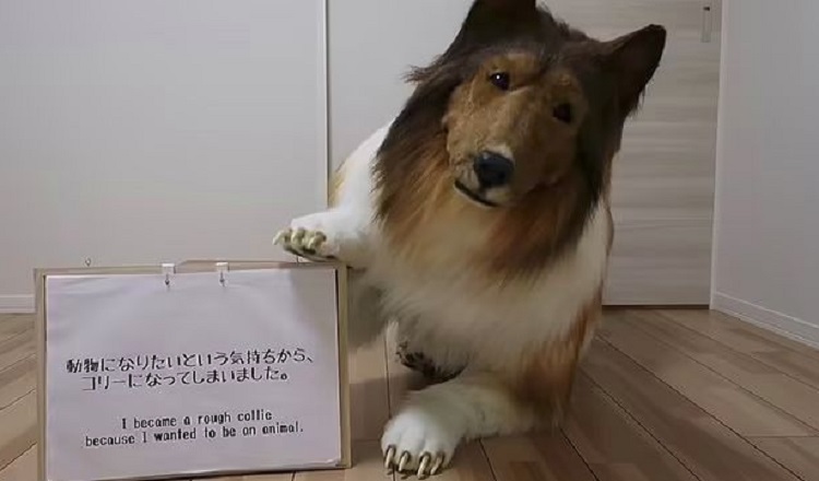 pria asal Jepang bernama Toco yang berambisi berkostum anjing berjenis collie. SP/ SBY