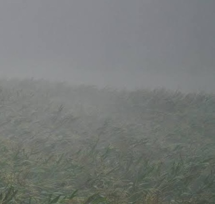 Ilustrasi hujan lebat. SP/Pixabay