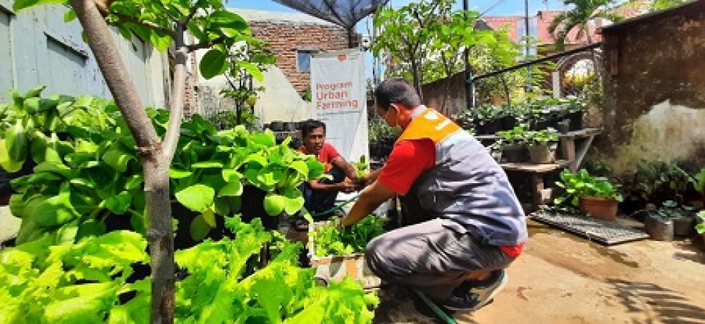 Setiap pagi Sonny Arief's Ghoga selalu rajin menyiram tanaman tanamannya. SP/ Julian
