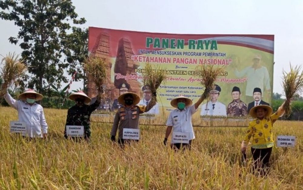 Bupati Mojokerto, Pungkasiadi saat panen raya di Ponpes Segoro Agung Kecamatan Trowulan, Kabupaten Mojokerto.SP/BJ