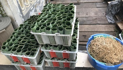 Produksi lontong di Kampung Lontong.