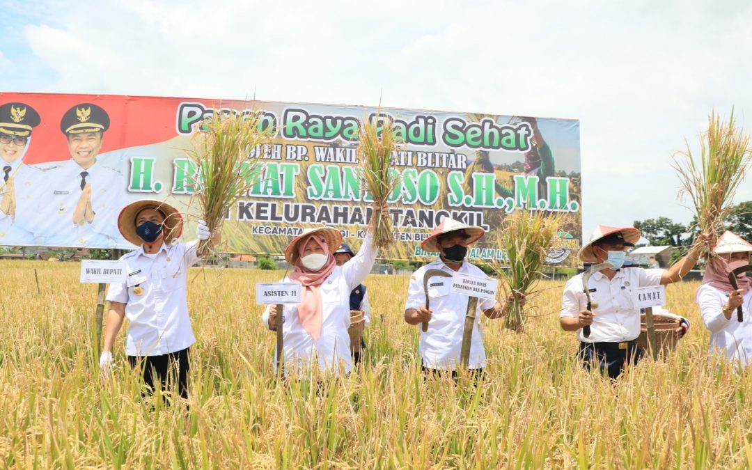 Acara panen raya padi di Desa Tangkil, Kecamatan Wlingi dan Desa Plosorejo, Kecamatan Kademangan, Rabu (2/3/2022). Foto: Pemkab Blitar.