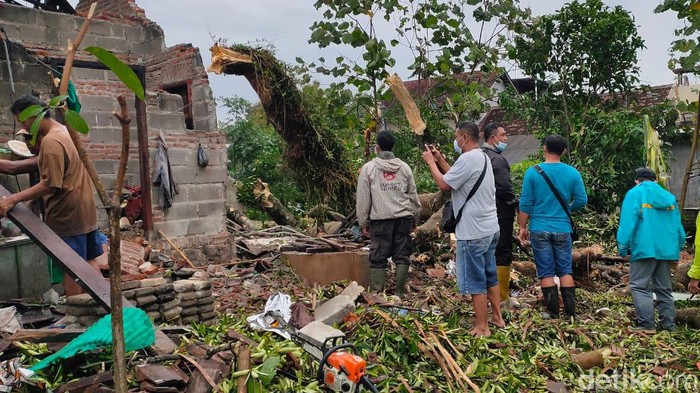 Sejumlah rumah warga tertimpa pohon tumbang SP/DECOM