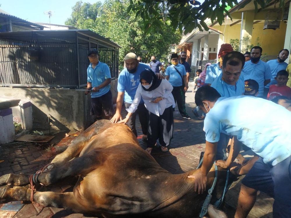 Rahmat Muhajirin dan istri Hj Mimik Idayana memegang sapi limosin yang diqurbankan