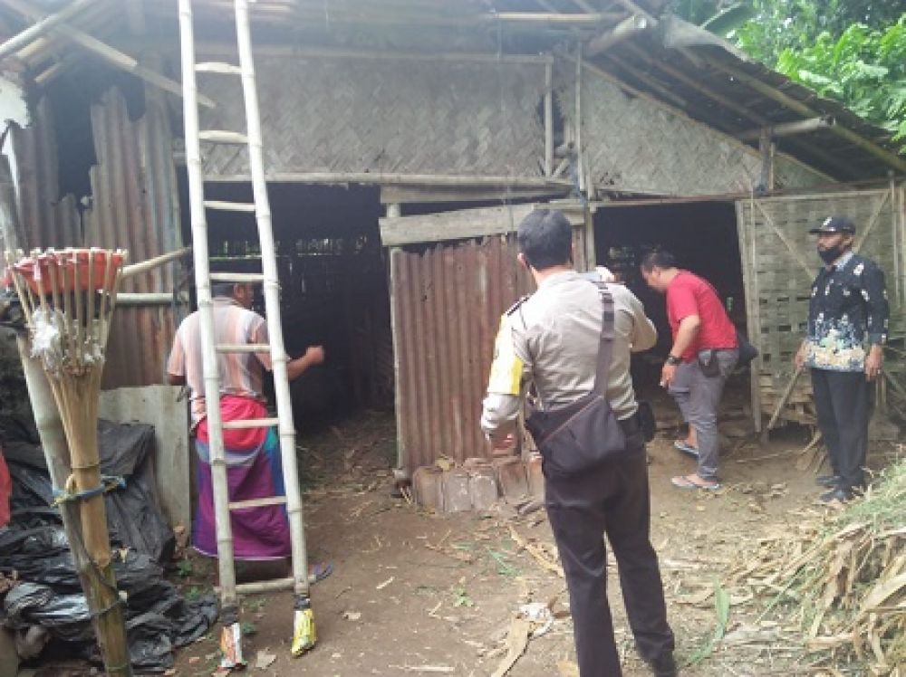 TKP sapi yang di gondok maling. SP/ F