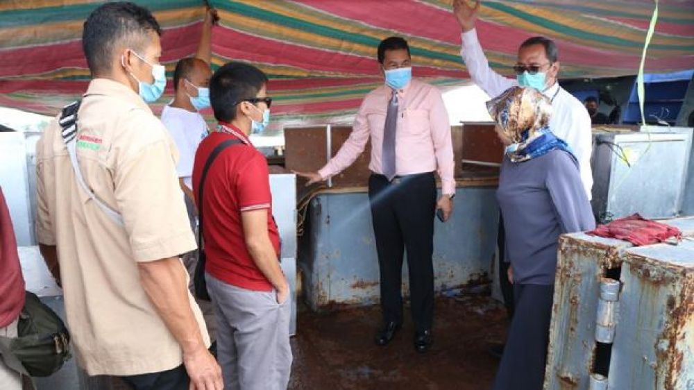 91 satwa langka Indonesia dipulangkan dari Filipina. SP/ DECOM