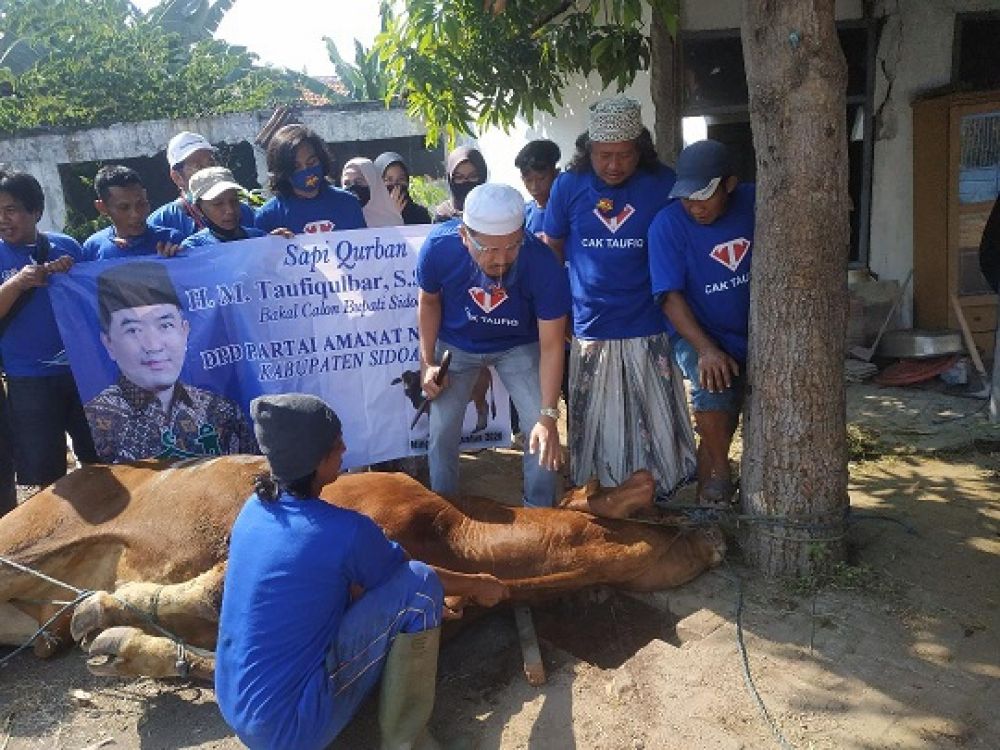 Bacabup Sidoarjo Taufiqulbar saat menyembelih sapi kurbannya.SP/SG