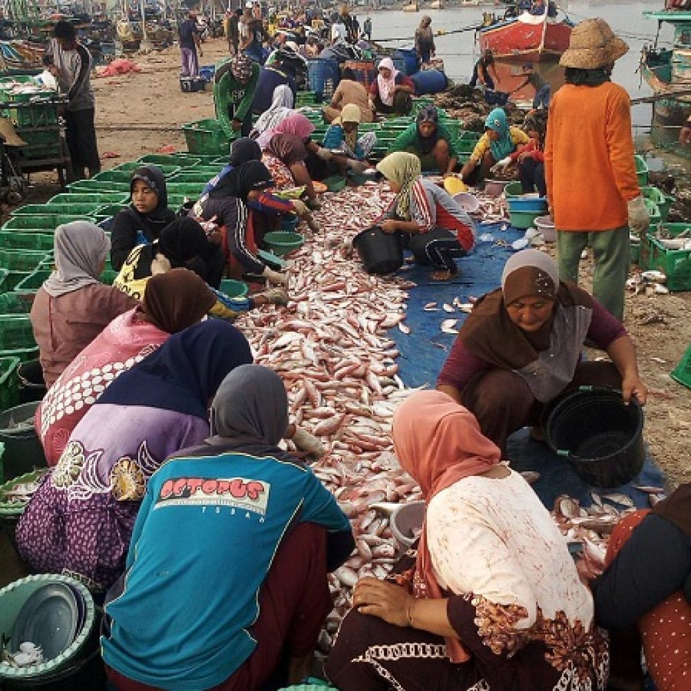 Aktifitas Tempat Pelelangan Ikan (TPI) Palang Kabupaten tuban. SP/ Her