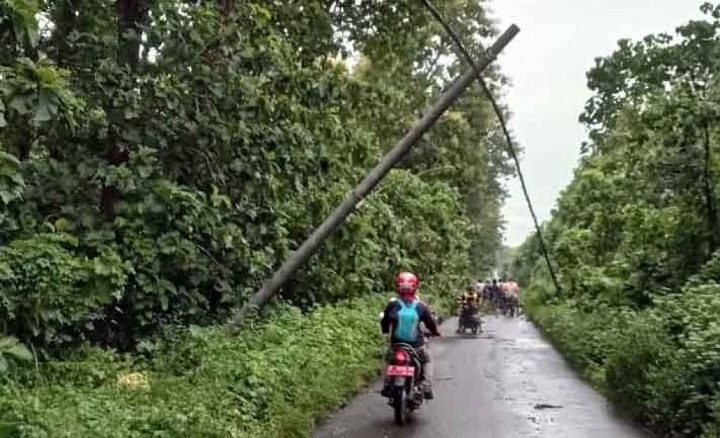 Salah satu tiang listrik yang roboh di kawasan Taman Nasional Alas Purwo.